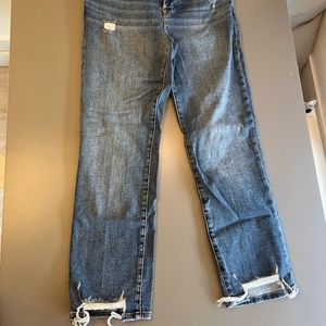 FRAME Le High Straight Denim